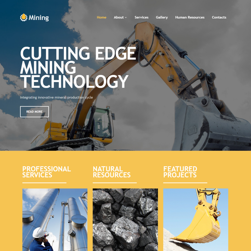 Professional Website Design