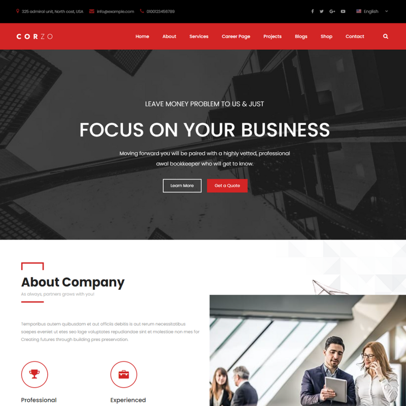 Professional Website Design